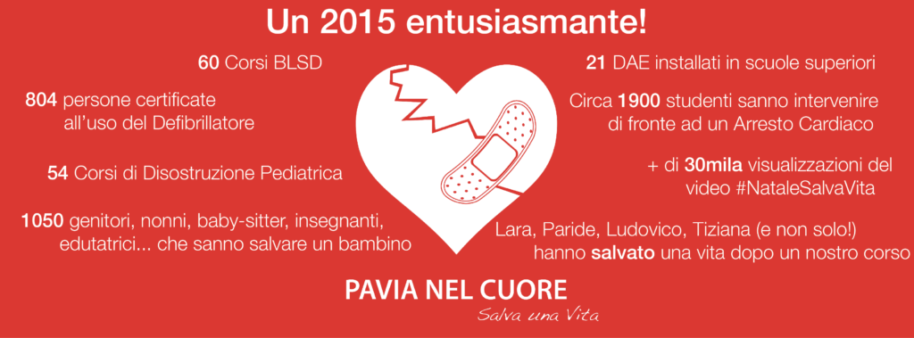 Infografica Risultati 2015 Pavia nel Cuore